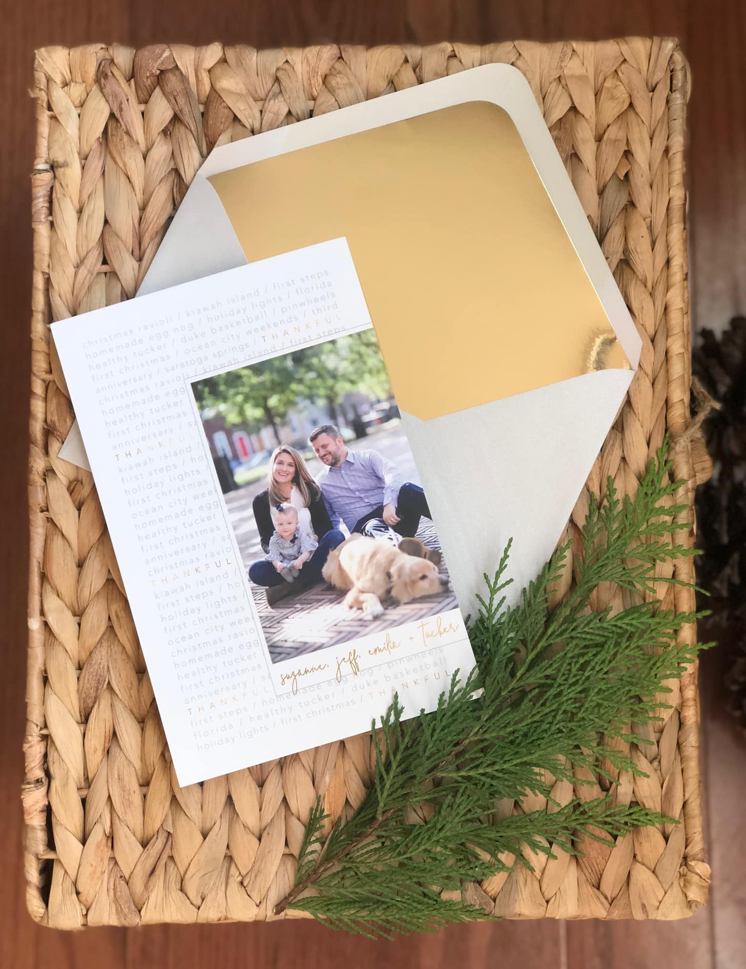 loveleigh’s latest: raffaele family holiday card.